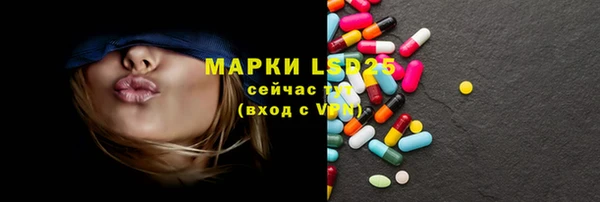 стафф Новодвинск