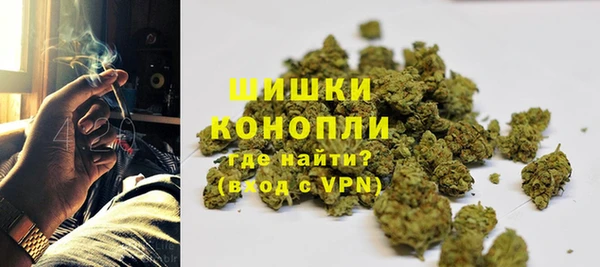 стафф Новодвинск