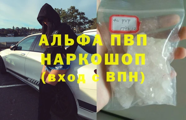 стафф Новодвинск