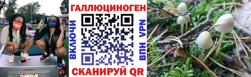 Купить закладки  Санкт-Петербург  Галлюциногенные грибы мухоморы 